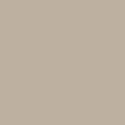 Samplize Benjamin Moore Pashmina Peel & Stick Color Sample AF-100