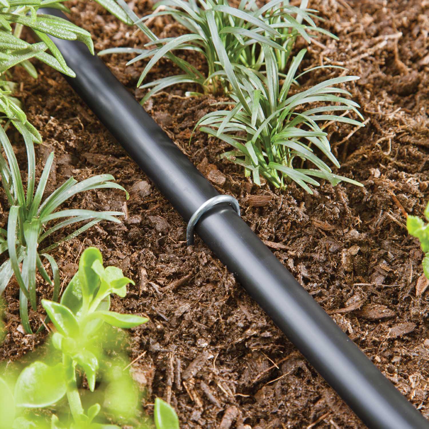Raindrip Drip Irrigation Stake Ace Hardware
