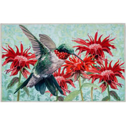 Olivia's Home 22 in. W X 32 in. L Multicolored Hummingbird in Scarlett Blossoms Polyester Rug