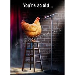 Avanti Press Stage Chicken Birthday Card Paper 2 pc