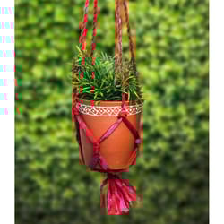 Matr Boomie 23.5 in. H X 6 in. D Terracotta Sari Macrame Hanging Bowl Planter Multicolored