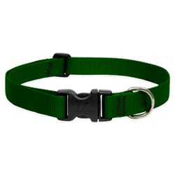 LupinePet Basic Solids Green Green Nylon Dog Adjustable Collar