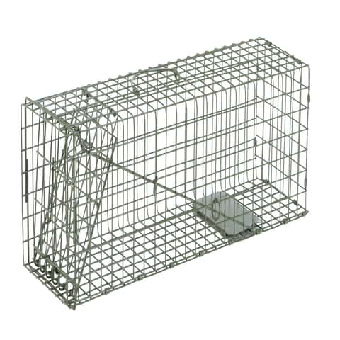 Animal Traps - Ace Hardware