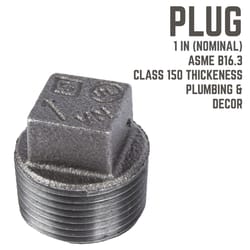 STZ Industries 1 in. MIP each Black Malleable Iron Plug