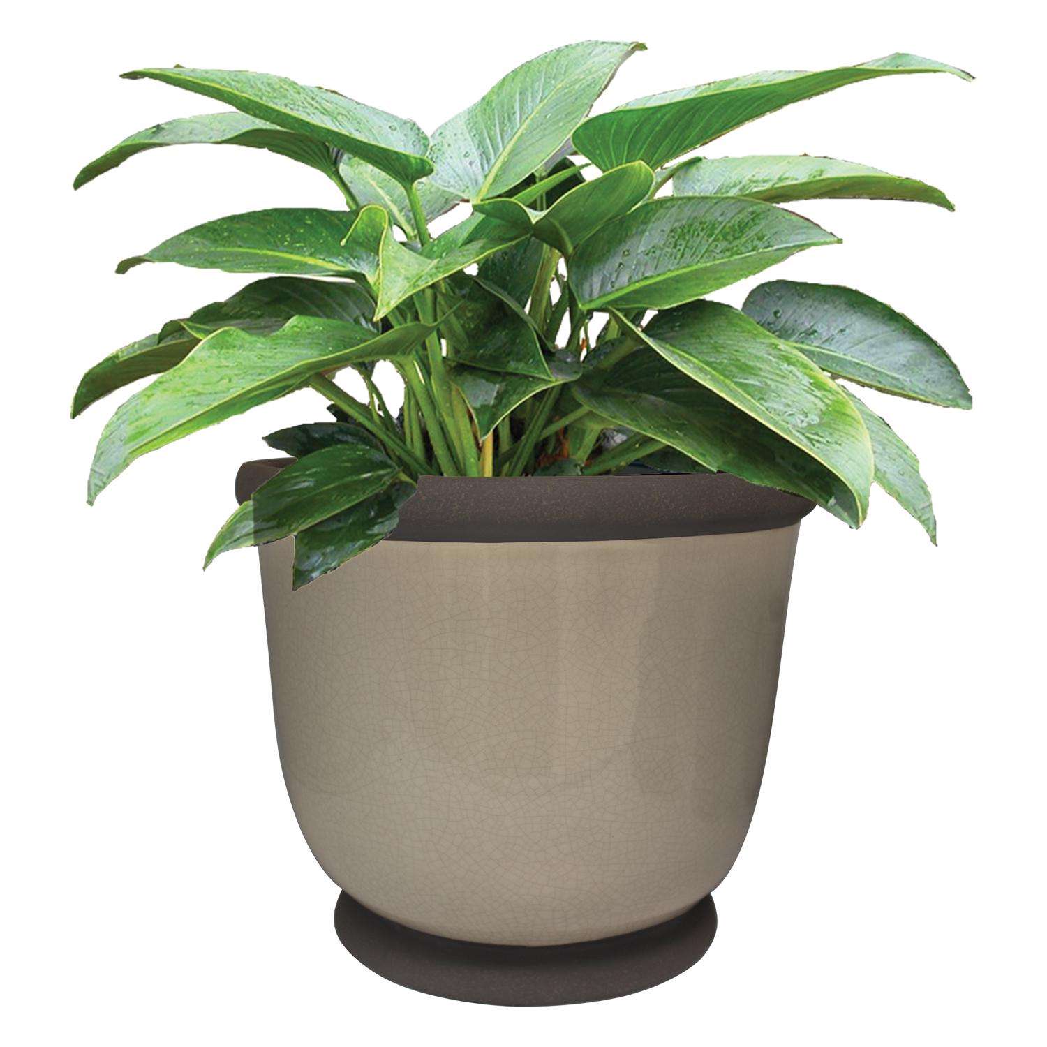 Trendspot Bellville 12 in. D Ceramic Pedestal Planter Gray