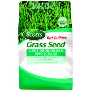 Scotts  Turf Builder  Centipede  Seed, Mulch & Fertilizer  5 lb. 