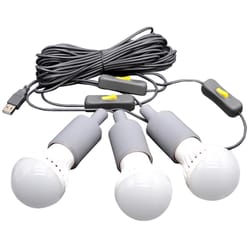 Lion Energy LED USB Light Set White 180 in. 3 lights