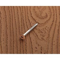 Starborn Deckfast No. 9 X 1-7/8 in. L Brown Star Pan Head Fascia Screws 100 pk