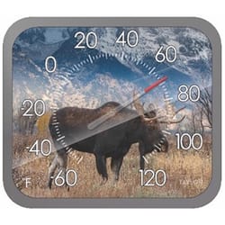 Taylor Moose Dial Thermometer Plastic Multicolored 14 in.