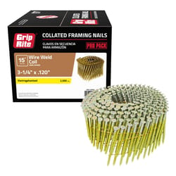 Grip-Rite 3-1/4 in. L X 11 Ga. Angled Coil Electro Galvanized Framing Nails 15 deg 2500 pk