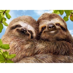 Avanti Press Seasonal Sloth Couple Valentine's Day Card Paper 2 pc