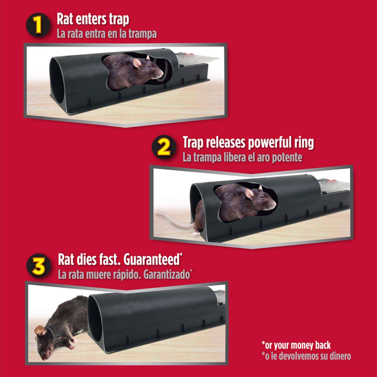 Large Powerful Rat Traps (6 Pack) - Kills Instantly with Powerful Steel  Spring