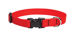 LupinePet Basic Solids Red Red Nylon Dog Adjustable Collar