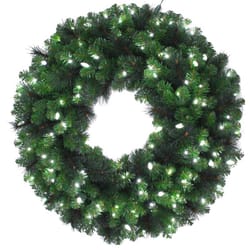 Celebrations Platinum 26 in. D LED Prelit Pure White Pine Wreath