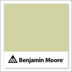 Benjamin Moore Folk Art 528