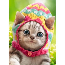 Avanti Seasonal Kitten Wears Knit Egg Cap Easter Card Paper 2 pc