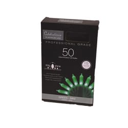 Celebrations Platinum LED T5 Green 50 ct String Christmas Lights 25 ft.