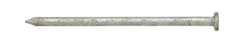 Ace 12D 3-1/4 in. Common Hot-Dipped Galvanized Steel Nail Flat Head 5 lb