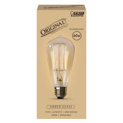 Feit The Original 60 W ST19 Vintage Incandescent Bulb E26 (Medium) Soft White 1 pk