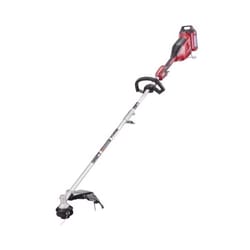 Toro Flex Force 51841 24 in. 60 V Battery Hedge Trimmer Kit (Battery &  Charger) - Ace Hardware