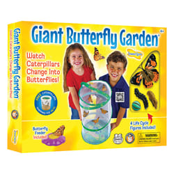 Insect Lore Giant Butterfly Growing Kit With Voucher Multicolored