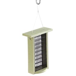Birds Choice Green Solutions Woodpecker 1 lb Plastic Suet Double Suet Basket