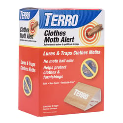 TERRO Ant Bait & Insect Control at Ace Hardware - Ace Hardware