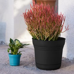 Bloem Saturn 10.75 in. H X 12.25 in. W Plastic Traditional Planter Black