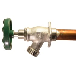 Arrowhead 3/4 MHT X 3/4 in. MIP Brass Hydrant