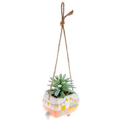 Karma 2 in. H X 2 in. W X 2 in. L Multicolored Ceramic Hanging Succulent Pot