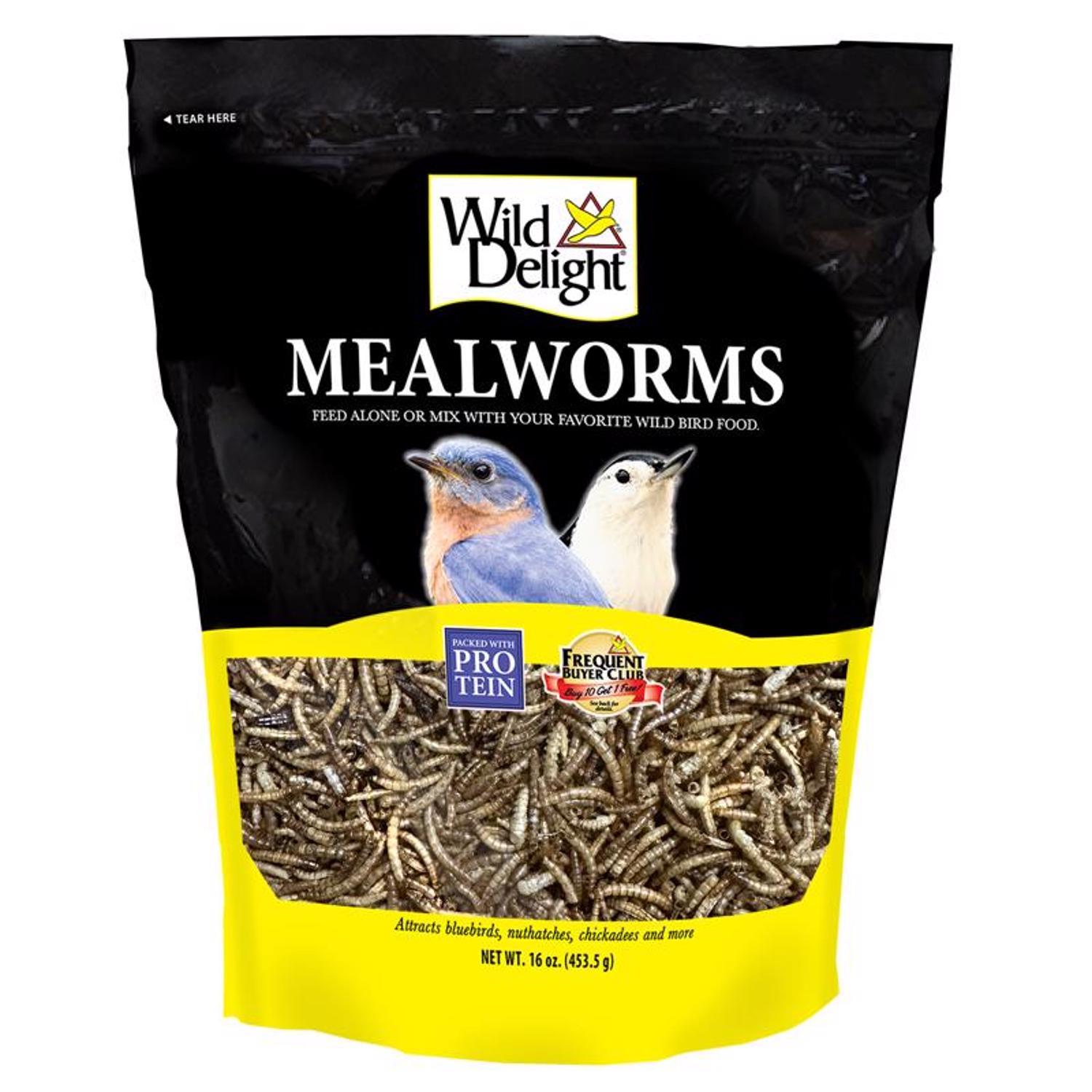 Wild Delight Assorted Species Dried Mealworm Wild Bird Food 16 oz Mfr 367816 Ace Hardware