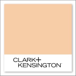 Clark+Kensington Hot Sand 14B-3