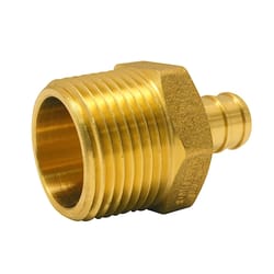 Apollo 1/2 in. PEX Barb in to X 3/4 in. D MPT Brass Reducing Adapter
