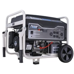 Pulsar 120/240 V Gas Portable Generator 5500 W