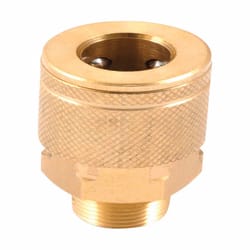 Forney Brass Air Coupler 1/4 in. Male X 1/4 in. 1 pc