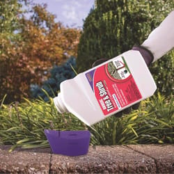 Bonide Annual Insect Killer Liquid Concentrate 32 oz