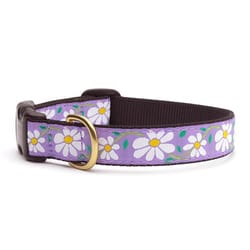 Up Country Purple Daisy Nylon Dog Collar Small