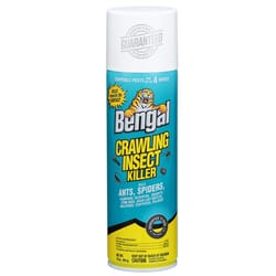 Bengal Crawling Insect Killer Aerosol 16 oz