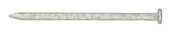 Ace 6D 2 in. Common Hot-Dipped Galvanized Steel Nail Flat Head 1 lb