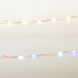 Living Accents LED Ribbon Light Light Set Multicolored 16.6 ft. 100 lights