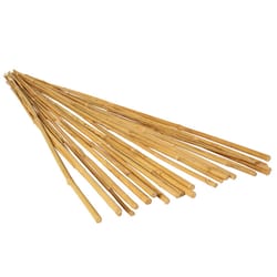 Growit 72 in. H Natural Bamboo Plant Stake