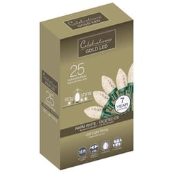 Celebrations Gold LED C9 Warm White 25 ct String Christmas Lights 16 ft.