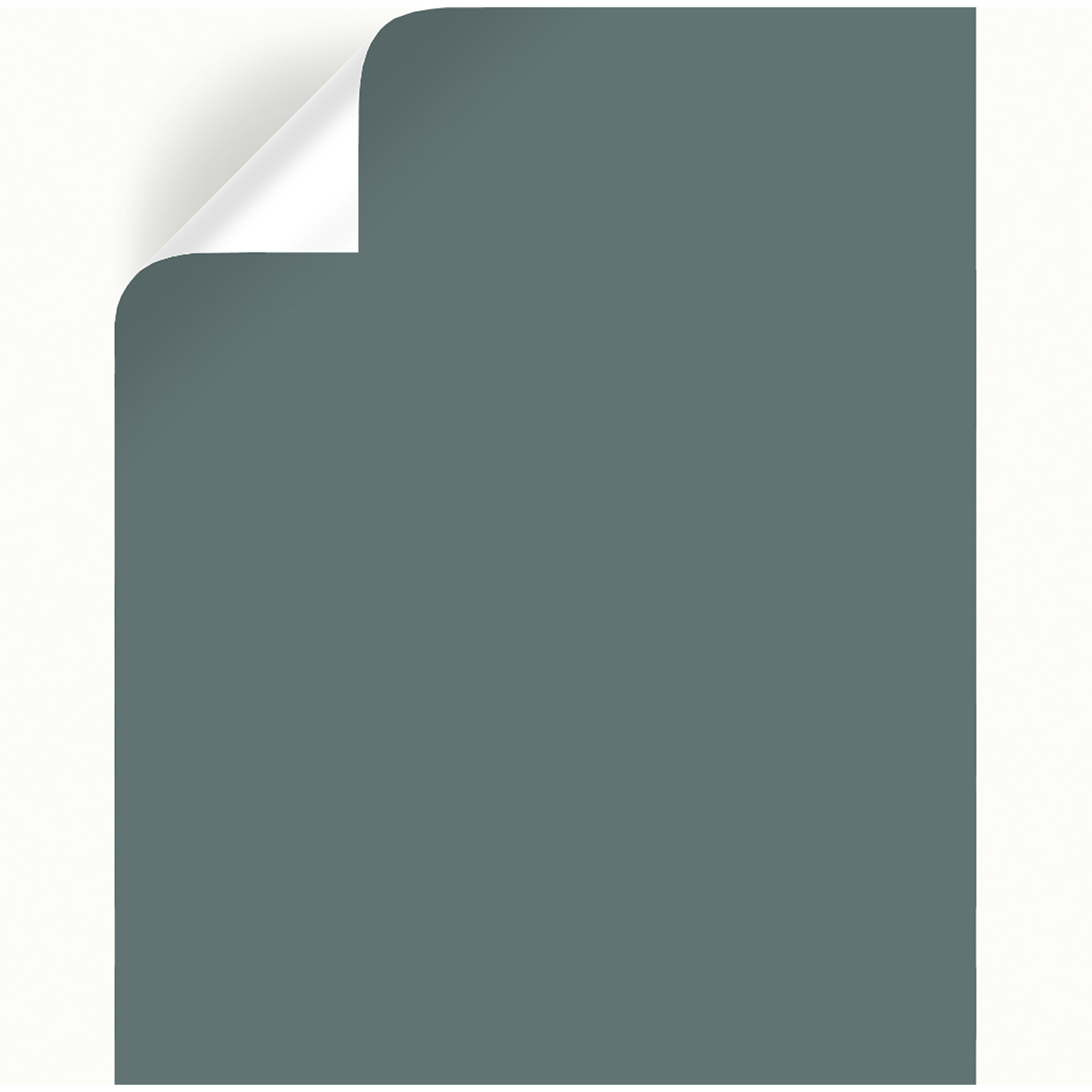 Magnolia Home by Joanna Gaines Duke Gray Peel & Stick Color Sample ...
