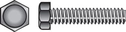 HILLMAN 3/8 in. D X 5 in. L Zinc Plated Steel Hex Tap Bolt 50 pk