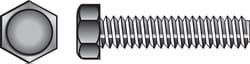 HILLMAN 1/4 in. D X 5 in. L Zinc Plated Steel Hex Tap Bolt 100 pk