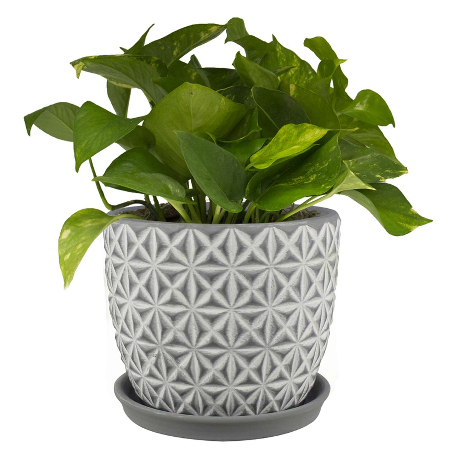 Trendspot Tribeca 8 in. D Ceramic Planter Charcoal