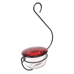 Backyard Essentials Hummingbird Glass Hummingbird Feeder Nectar Bird Feeder 4 ports