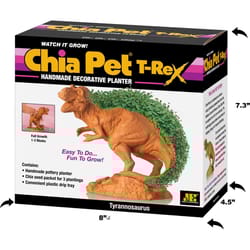 Chia Pet Dinosaur TRex Decorative Planter Terracotta Clay 1 pk
