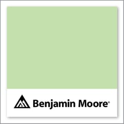 Benjamin Moore Scenic View 424
