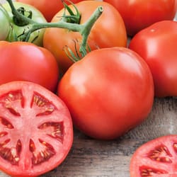 Bonnie Plants Red Big Beef Tomato Grower Vegetable Plant